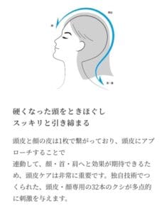女の子の頭の横顔と頭皮マッサージを示す矢印を示すイラスト。 32毛ブラシでBODY AWARD 2022を受賞したデンキバリブラシ2.0＋ボディを使った独自のテクニックと頭皮ケアの重要性を日本語で解説。